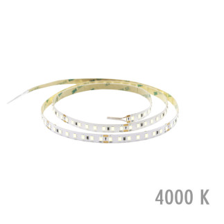 ProCom 5m 4000 K, IP20