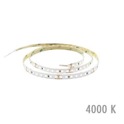 ProLite 5m 4000 K, IP20